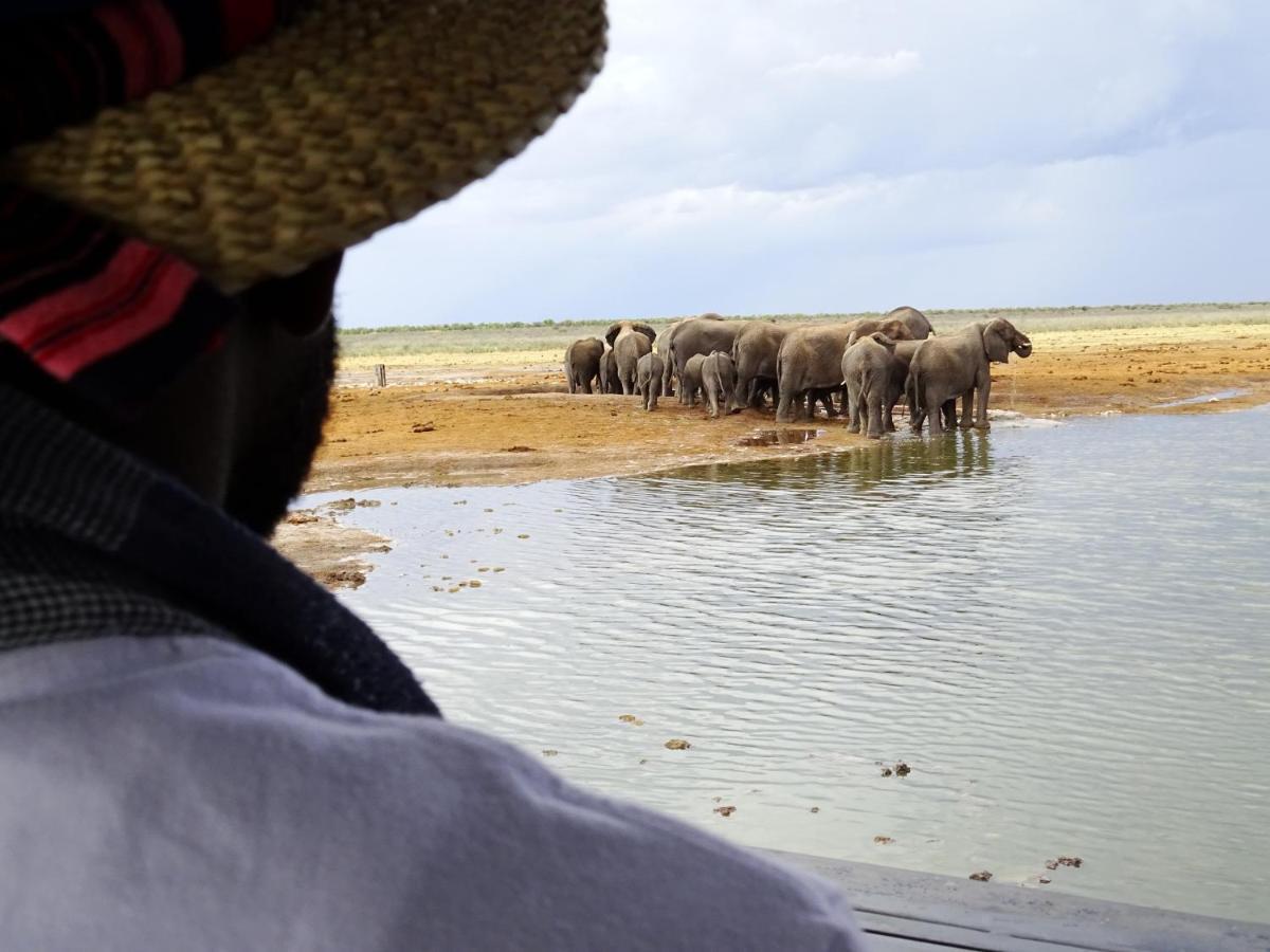 Etosha King Nehale Villa Omuthiya ภายนอก รูปภาพ