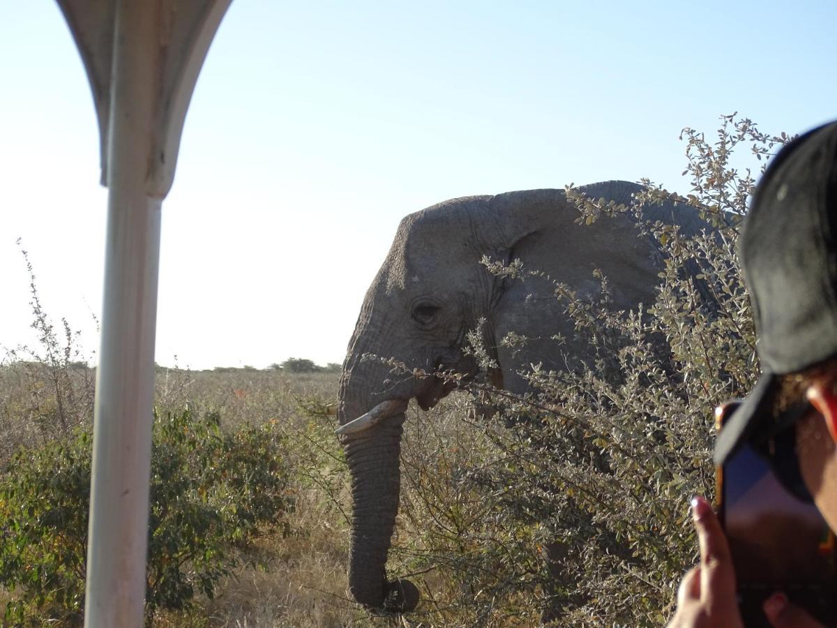 Etosha King Nehale Villa Omuthiya ภายนอก รูปภาพ